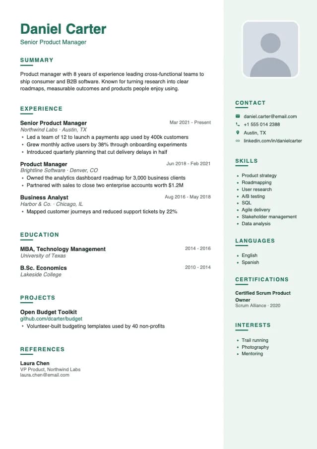 Emerald Professional resume template preview