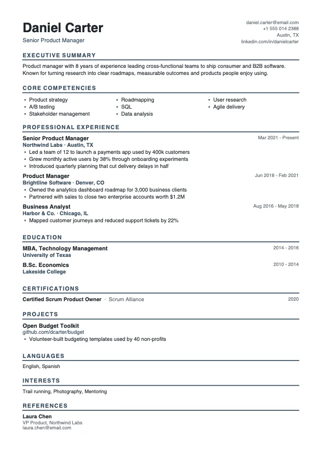 Experienced Professional resume template preview