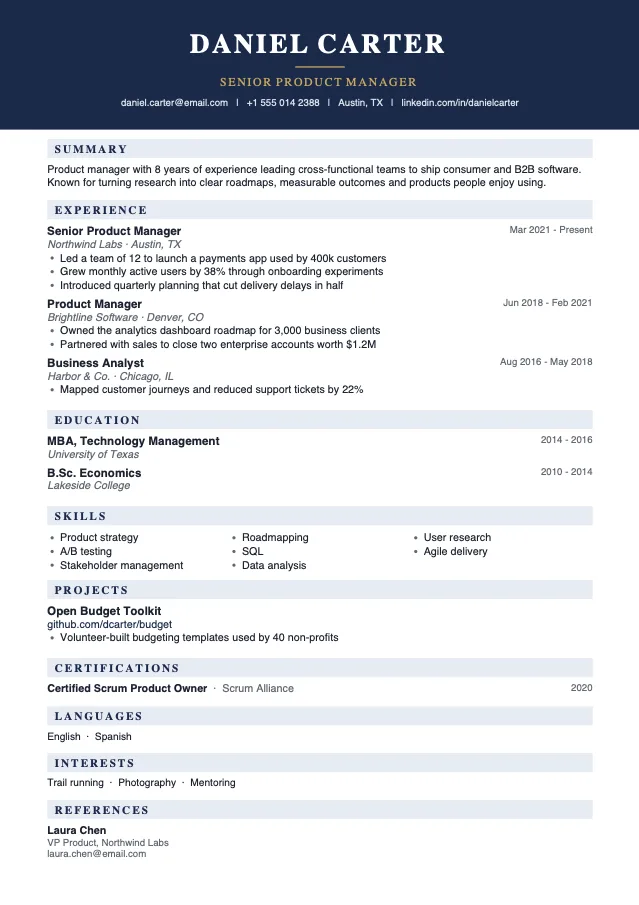 Navy Executive resume template preview